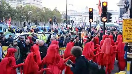 Dramatic scenes as Extinction Rebellion's Red Brigade pay tribute to Gandhi and Mandela