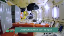 Astronautas cultivam carne no espaço