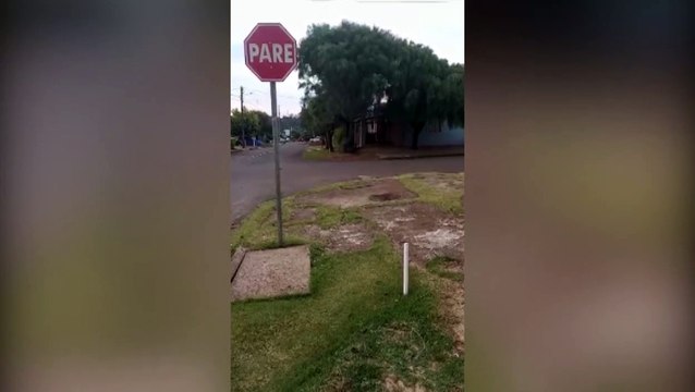 Quase um mês após reclamação, galhos de árvores seguem acumulados no Jardim Veneza