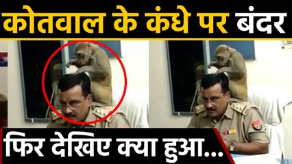 Pilibhit में कोतवाल के कंधे पर बैठ गया Monkey, Social Media पर Video Viral | वनइंडिया हिंदी