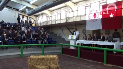 Ev Fiyatına Taylar İçin Kıyasıya Rekabet