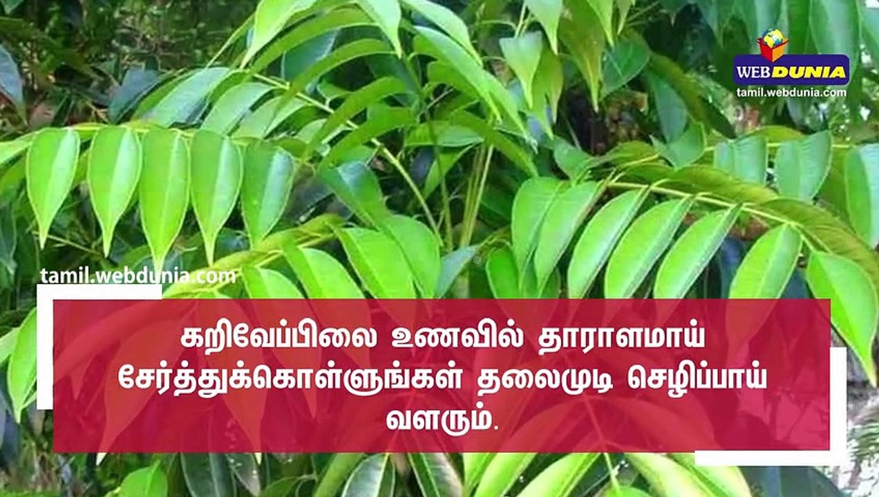 கருகருவென முடி வளர டிப்ஸ்..!!