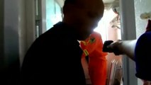 Rescatan en China a un niño que quedó suspendido en el balcón de un cuarto piso