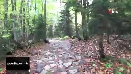 Türkiye'nin cennetine sonbahar geldi! Kartpostallık görüntüler...