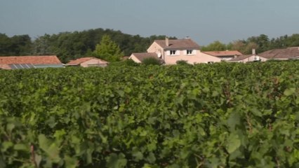 Actu - Les pesticides n’ont plus droit de cité !