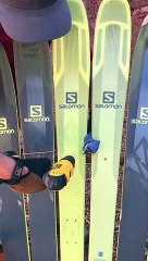 Un oiseau coincé entre deux skis