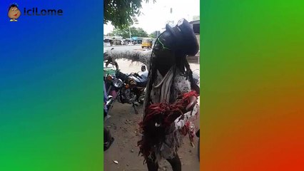 Un demi-fou critique le régime de Faure Gnassingbé