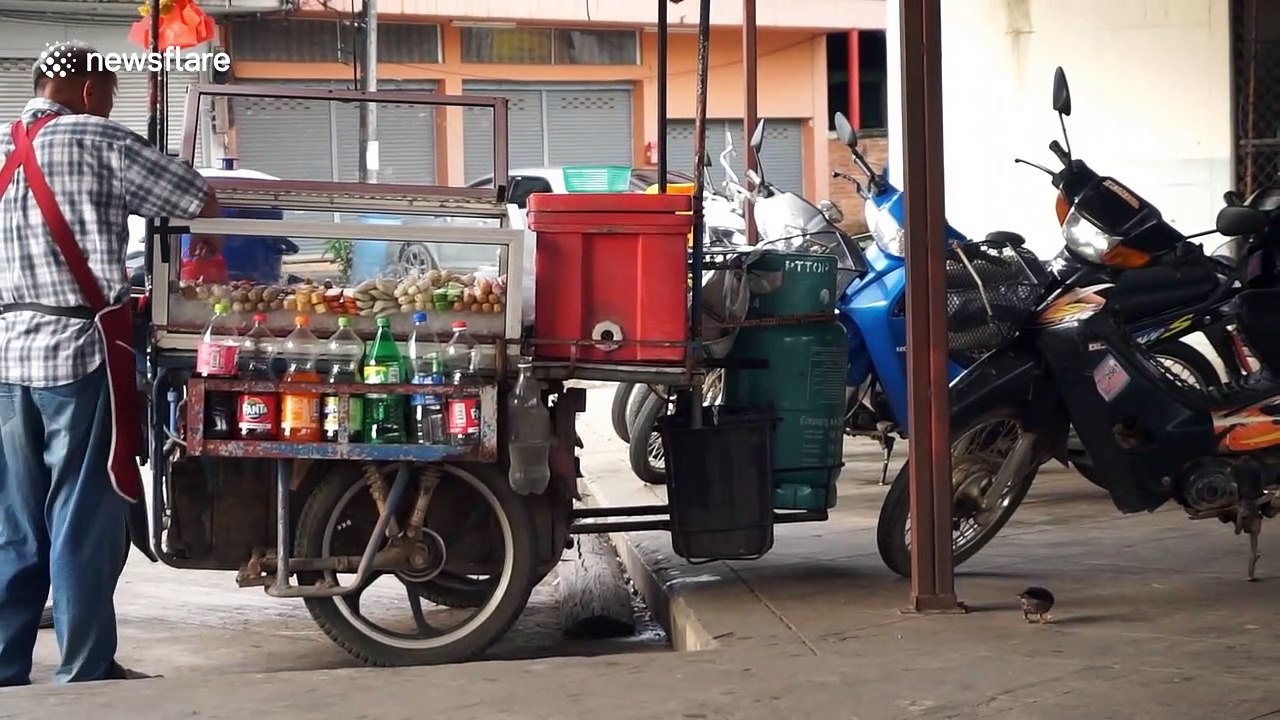 Thai street vendor befriends wild bird who sits on his shoulder and gets tidbits