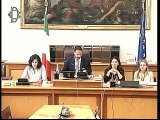 Roma - Audizione della sottosegretaria Mirella Liuzzi (09.10.19)