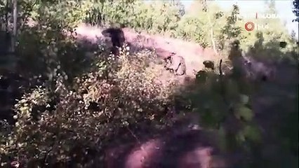 PKK'nın kış yapılanmasına darbe! 109 terörist etkisiz hale getirildi