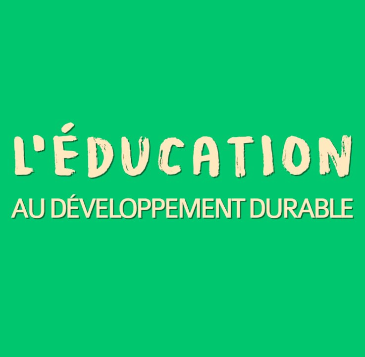 Épisode 2 : le développement durable au coeur du lycée Marie Curie de Versailles