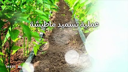 يوميات الفلاح - 09/10/2019