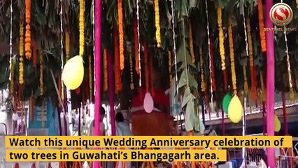Watch Wedding Anniversary of Two Trees in Guwahati
