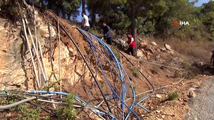 Türkiye'nin muz ihtiyacının 5'te birini tek başına karşılayan mahalle susuzluk sebebiyle üretimi...