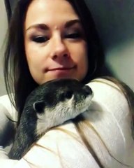 Cette loutre cherche quoi au juste... Peut être qu'elle est dentiste. Trop rigolo !