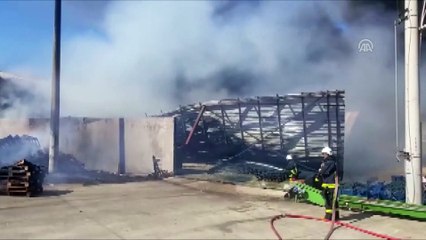 Serik'te soğuk hava deposunda yangın - ANTALYA