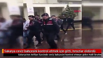 Sakarya ceviz bahçesini kontrol etmek için gitti, hırsızlar öldürdü