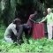 ADIEUX ÉMOUVANTS entre le Dr Jane Goodall et Wounda; le chimpanzé. L’étreinte est longue, et emplie d’émotion