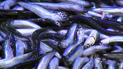 Kötü hava şartları balık fiyatlarını 4'e katladı