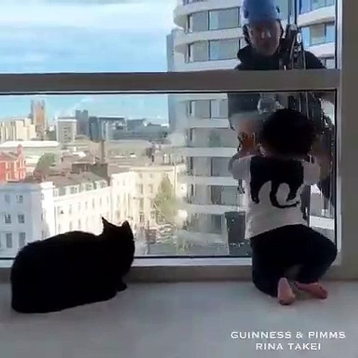 Quand un chat s'amuse avec le laveur de vitres.