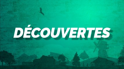 Découvertes - Excursion en Catamaran