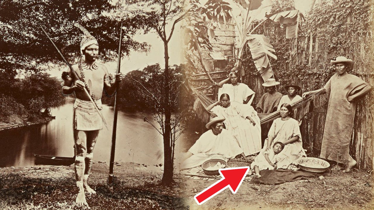 Vintage photos offer glimpse of Upper Amazon | அமேசான் காடு..ஆச்சர்யமூட்டும் புகைப்படங்கள்