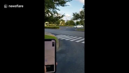 Florida man tests Tesla’s new Smart Summon feature in car park