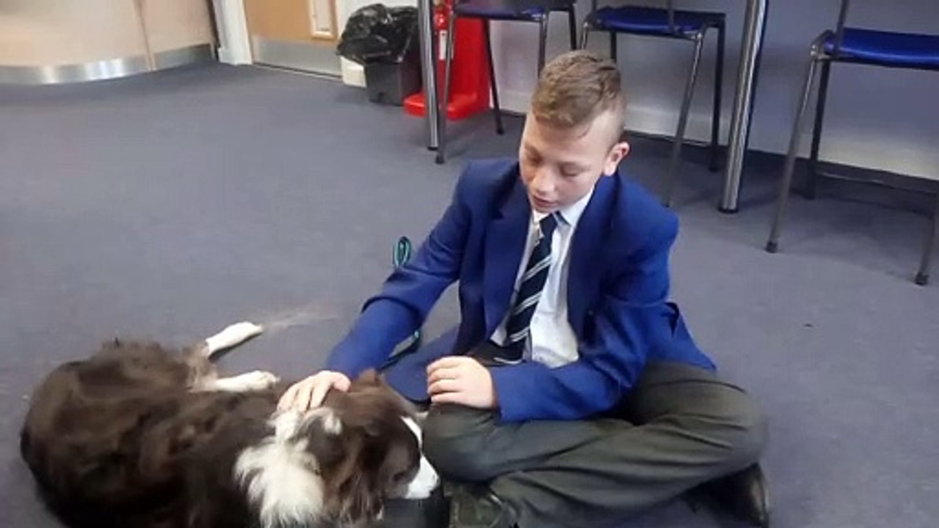 ⁣Pets therapy