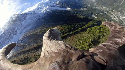 Voler au dessus des Alpes pour rendre compte du réchauffement