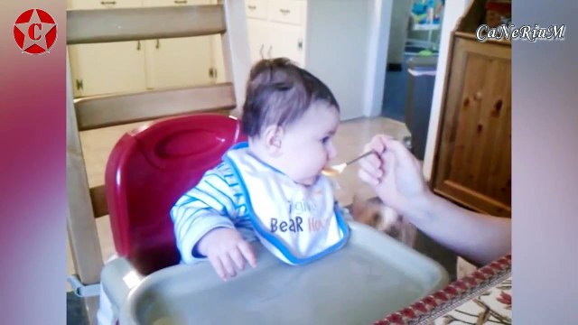 En iyi komik kedi ve bebek videoları - Best Funny cat and Baby Videos