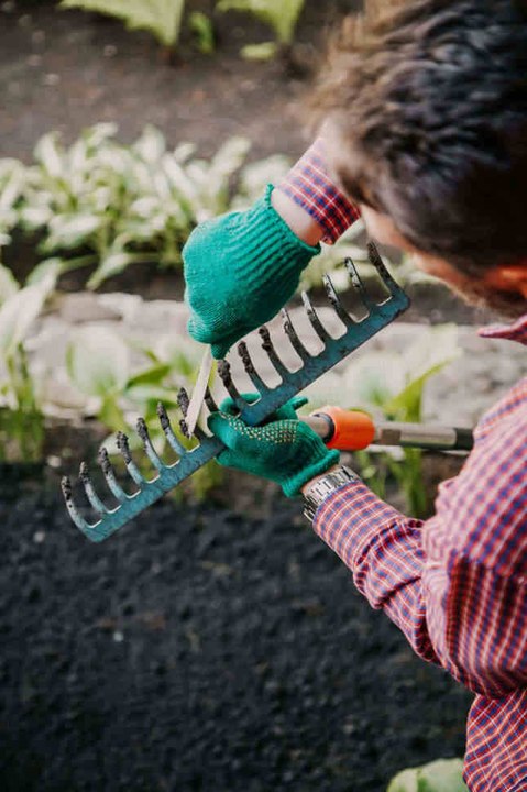 Die Pflege der Gartengeräte