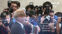 Lithium-ion battery pioneer wins Nobel Chemistry prize