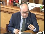 Roma - Audizione ministro Patuanelli su linee programmatiche (09.10.19)