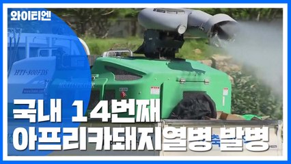 경기 연천 돼지농가 '확정'...국내 14번째 발병 / YTN