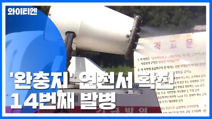 '완충지' 연천에서 14번째 발병...48시간 이동중지 명령 / YTN