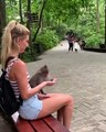 La réaction d'un singe trompé par une jeune femme !