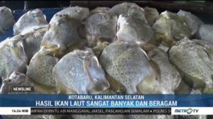 Melihat Pengelolaan Hasil Laut Kotabaru