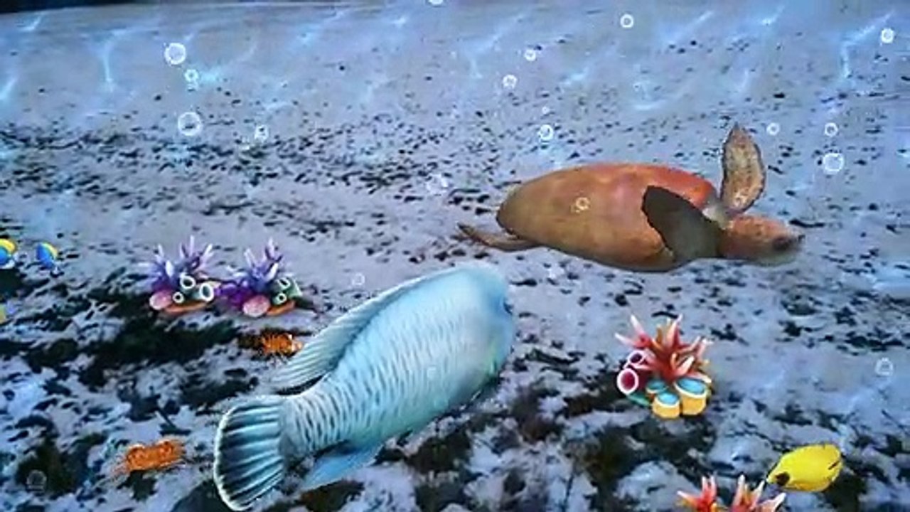 Norbert Reinwand - Evolution