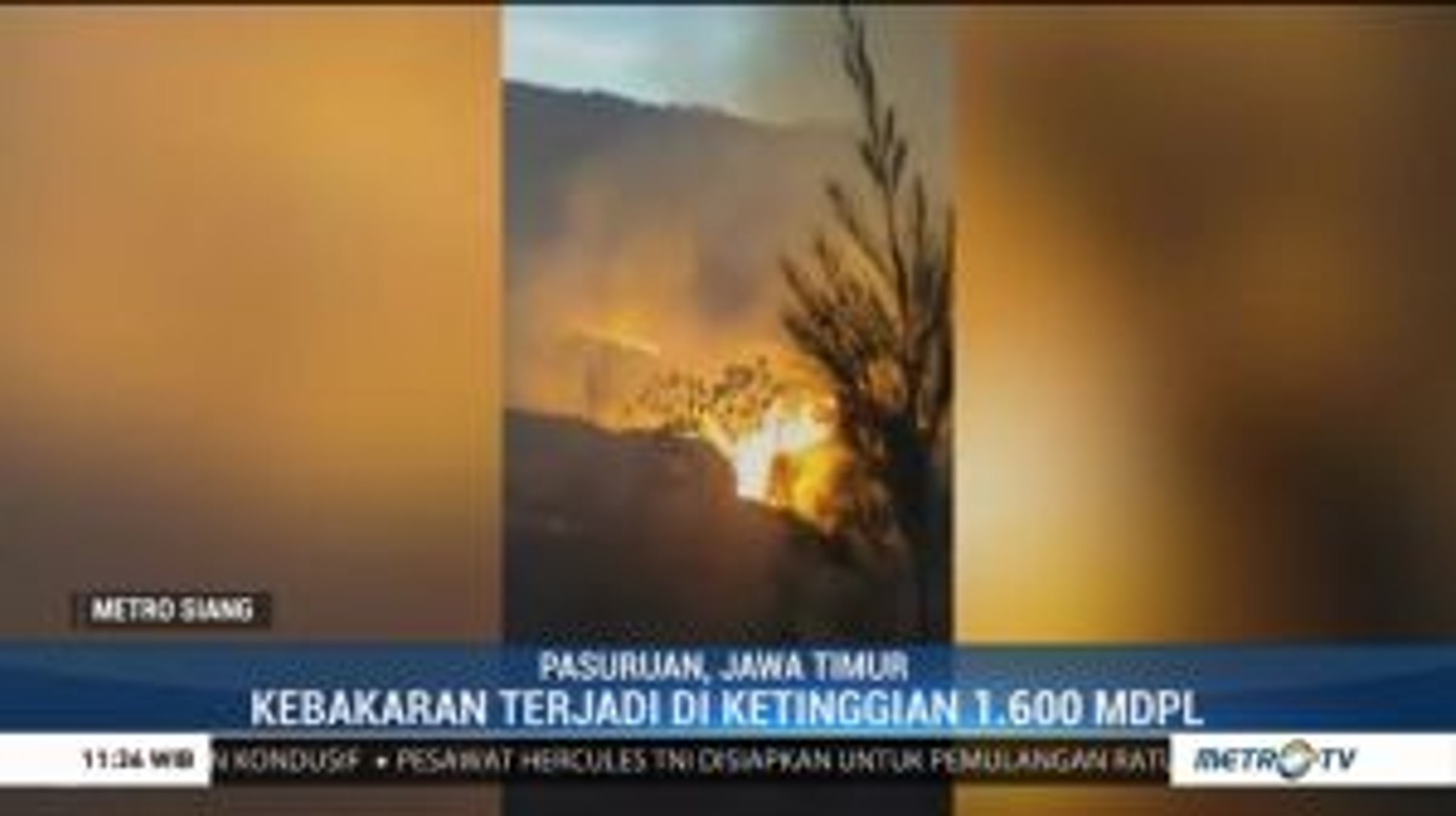 Hutan Gunung Arjuno Welirang Kembali Terbakar