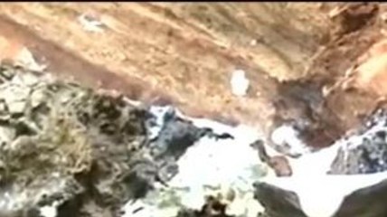 Anomali Harga Karet Alam Dunia