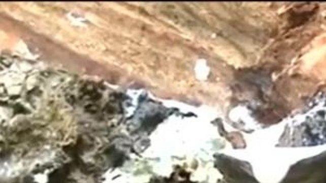 Anomali Harga Karet Alam Dunia