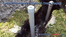 Tampa Plumbers -Sewer and Drain Repair