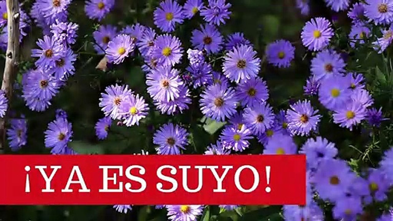 YA ES SUYO