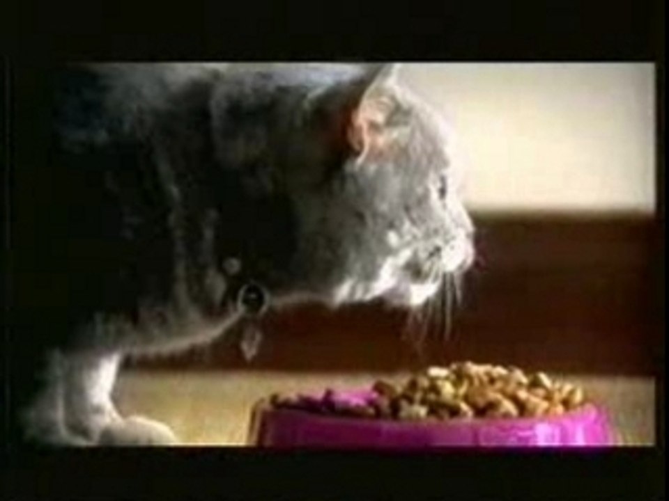 Whiskas diving mouse