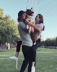 Aspen the Aussie is Jealous for Affection