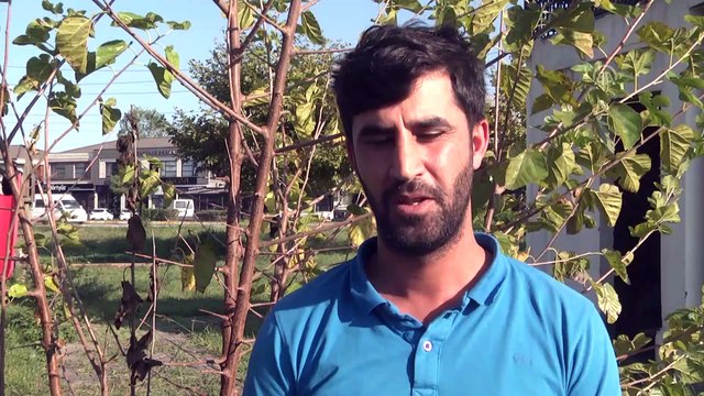 Sakarya'da inşaat işçisinin Atatürk hassasiyeti - SAKARYA