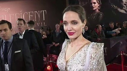 Angelina Jolie says she is fighting to protect her children