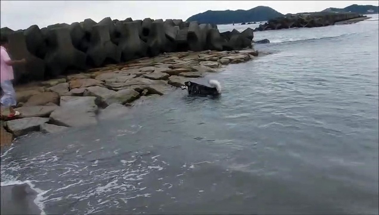 竜宮の磯