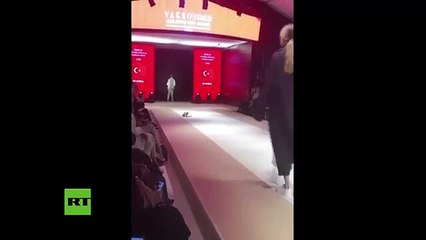 Este gato callejero quita todo el protagonismo a las modelos de un desfile de moda