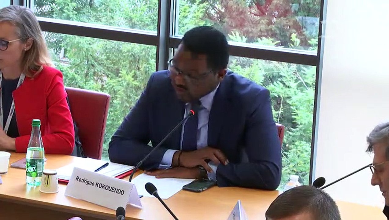 Commission des affaires étrangères : Mme Amélie de Montchalin, secrétaire d'État auprès du ministre de l'Europe et des Affaires étrangères - Mercredi 9 octobre 2019